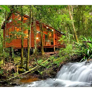 The Mouses House Rainforest Retreat Спрингбрук